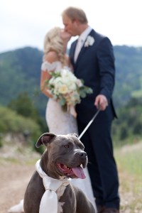 188erinkatephoto_CaitlinPeterWedding