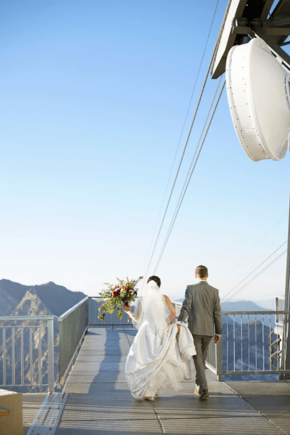 screen shot 2019-01-11 at 2.35.19 pm